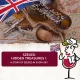 Retro Urban WineAdventure® Szeged - Hidden treasures I.