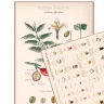 A kávévilág puzzle - A kávé csodaországa 