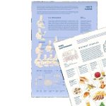 Gasztrovilág puzzle - Párizs