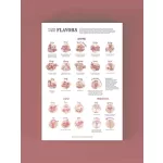 Borvilág puzzle - Borok periódusos rendszere